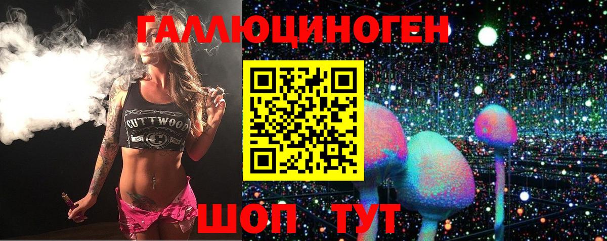 Псилоцибиновые грибы Psilocybine cubensis Гулькевичи